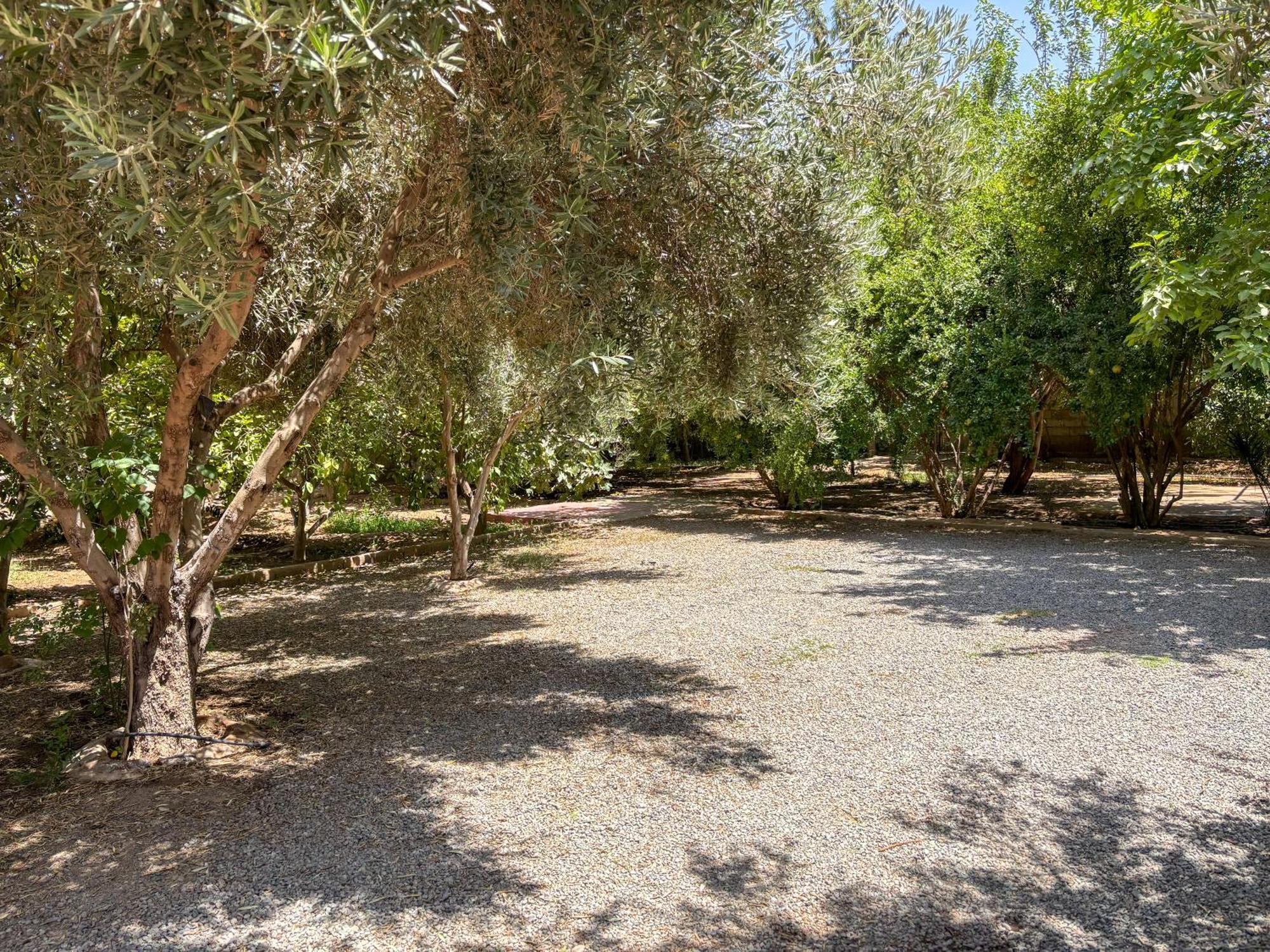 Le Bleu House Bed & Breakfast Sidi Abdallah Ghiat Exterior photo